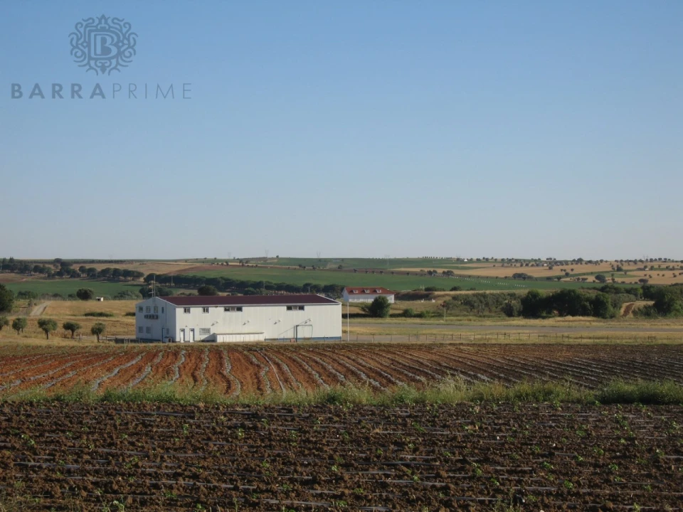Moradia T5 para Venda em Ferreira do Alentejo e Canhestros Foto 34
