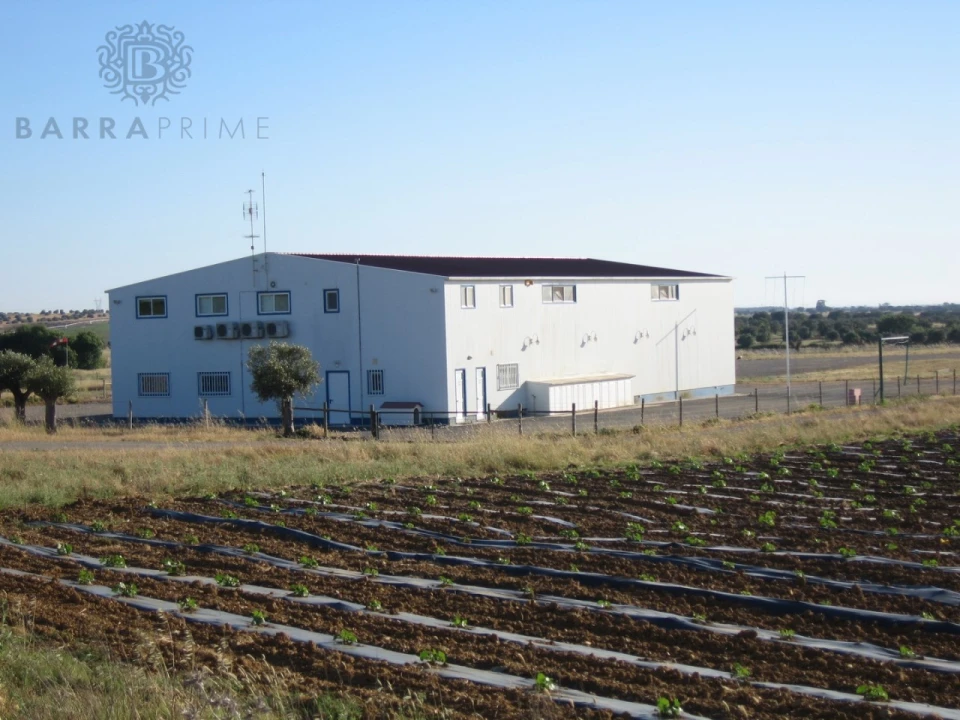 Moradia T5 para Venda em Ferreira do Alentejo e Canhestros Foto 37