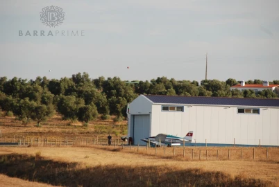 Moradia T5 para Venda em Ferreira do Alentejo e Canhestros