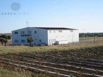 Moradia T5 para Venda em Ferreira do Alentejo e Canhestros