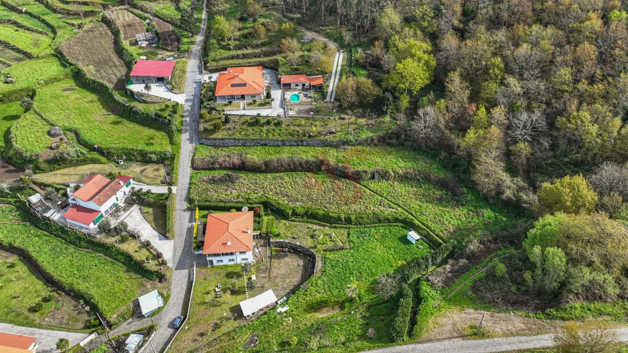 Terreno Agricola ou Rústico para Venda em Penacova Foto 9