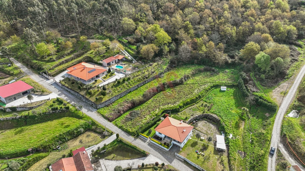 Terreno Agricola ou Rústico para Venda em Penacova Foto 10