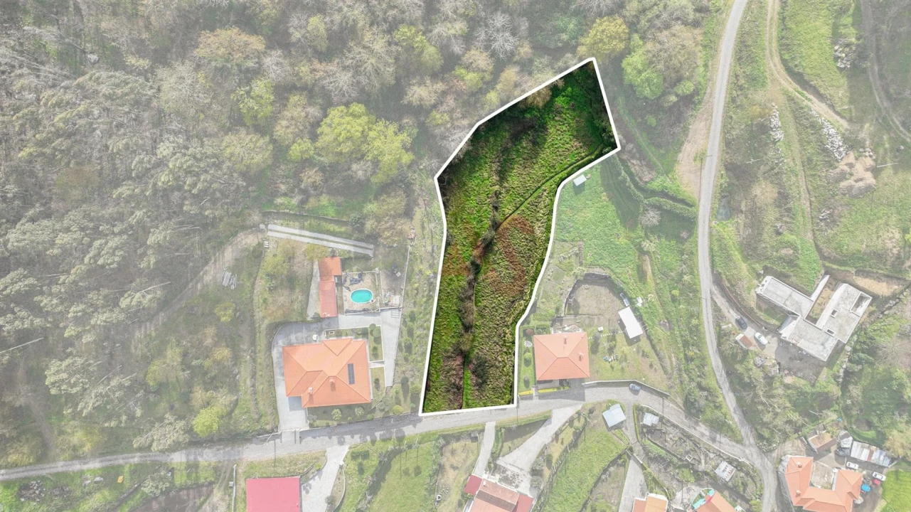 Terreno Agricola ou Rústico para Venda em Penacova Foto 2