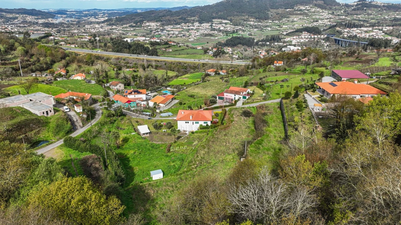 Terreno Agricola ou Rústico para Venda em Penacova Foto 12