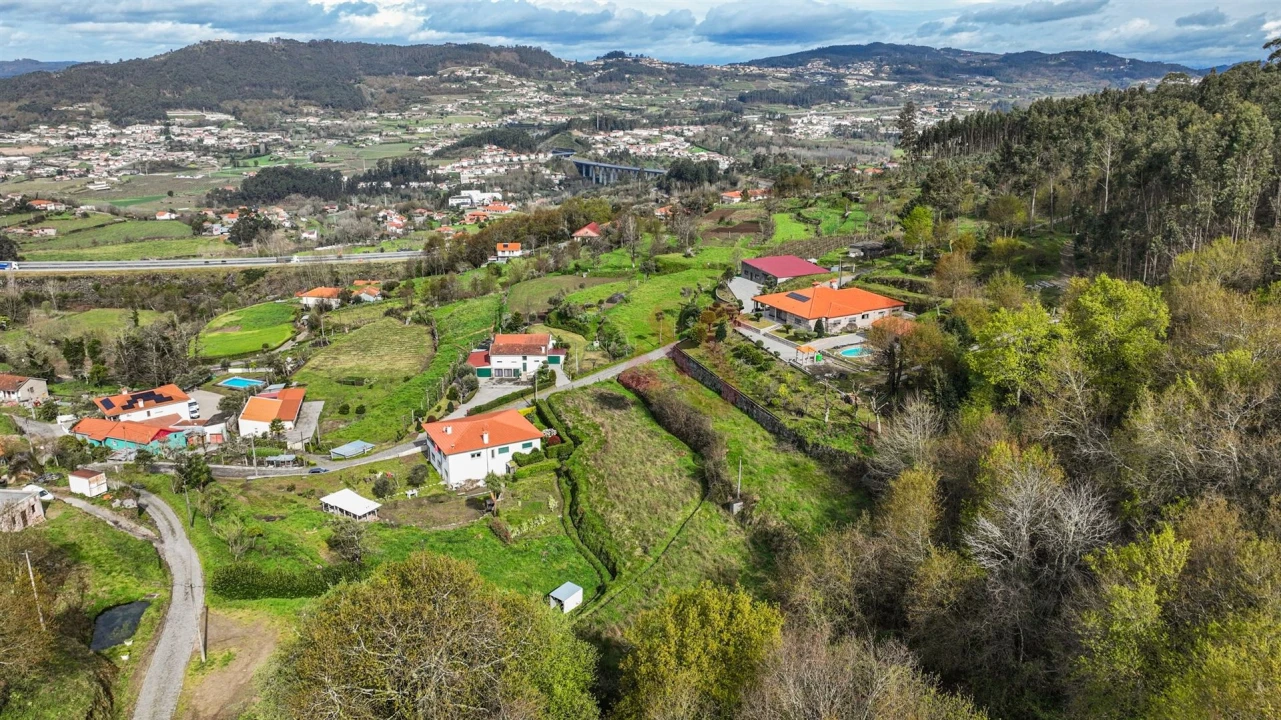 Terreno Agricola ou Rústico para Venda em Penacova Foto 11