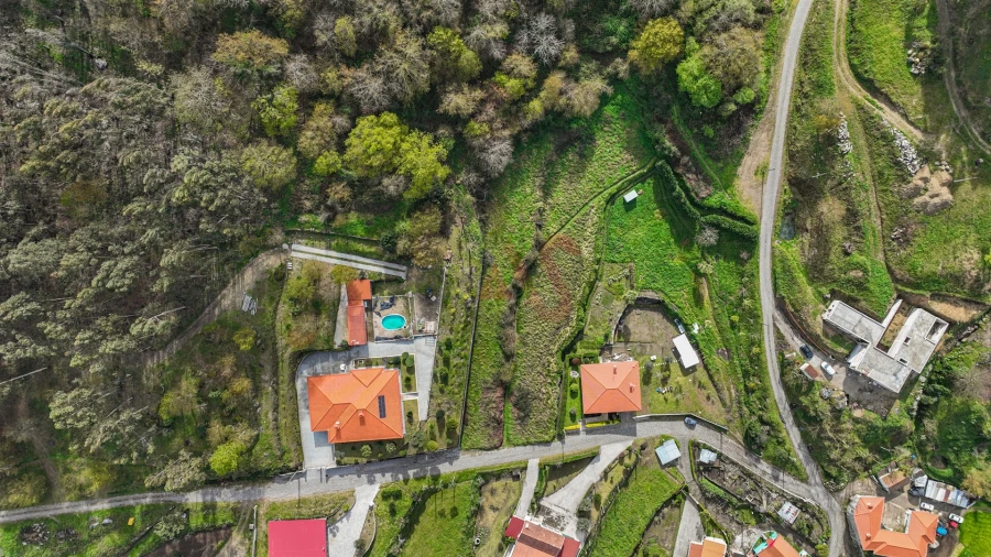Terreno Agricola ou Rústico para Venda em Penacova Foto 8