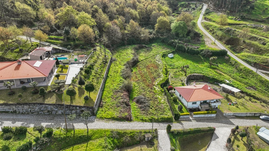 Terreno Agricola ou Rústico para Venda em Penacova Foto 7
