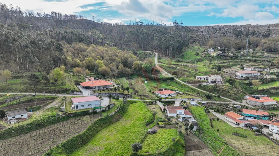 Terreno Agricola ou Rústico para Venda em Penacova Foto 3