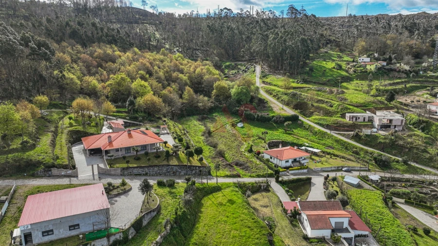 Terreno Agricola ou Rústico para Venda em Penacova Foto 5