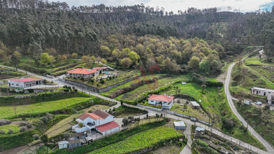 Terreno Agricola ou Rústico para Venda em Penacova Foto 4