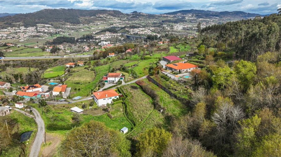 Terreno Agricola ou Rústico para Venda em Penacova Foto 11