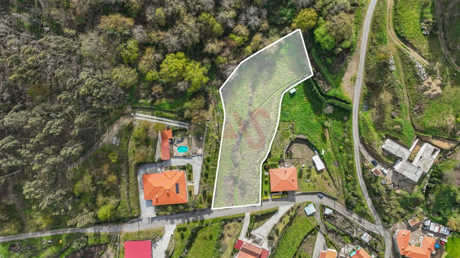 Terreno Agricola ou Rústico para Venda em Penacova Foto 1