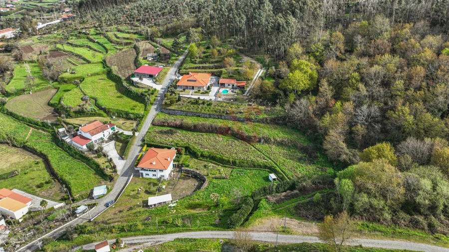 Terreno Agricola ou Rústico para Venda em Penacova Foto 13