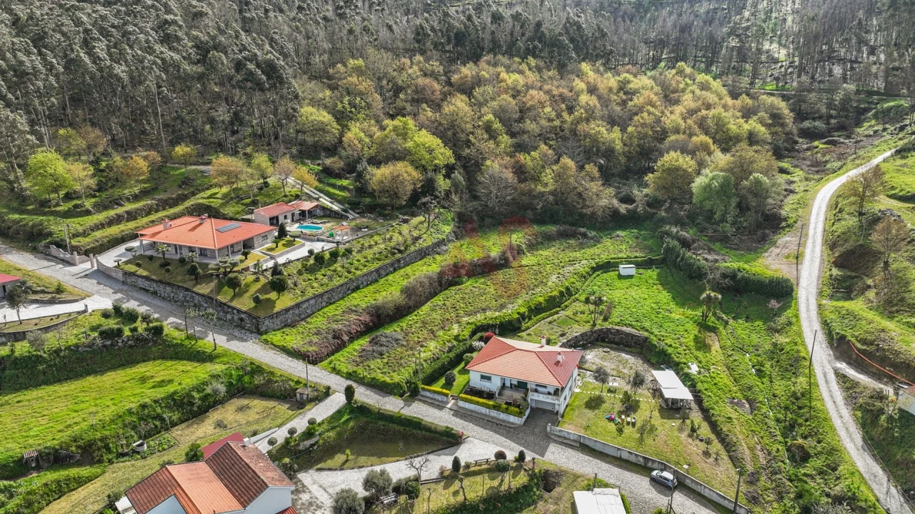 Terreno Agricola ou Rústico para Venda em Penacova Foto 6