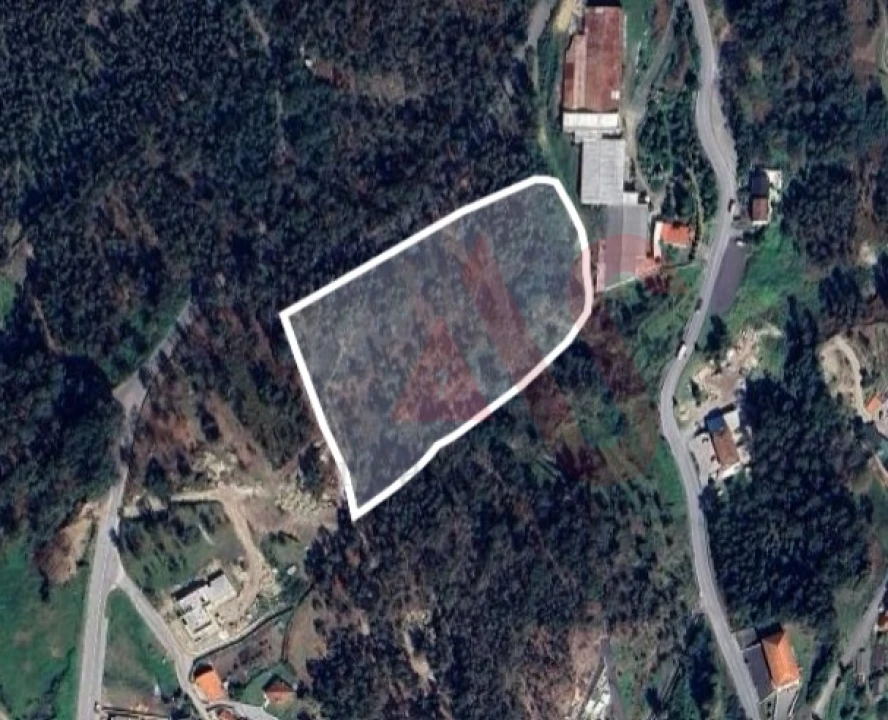 Terreno Agricola ou Rústico para Venda em Sousela Foto 1