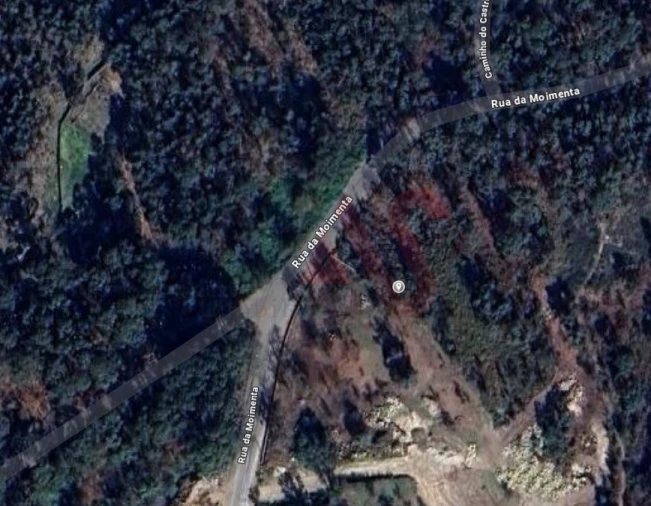 Terreno Agricola ou Rústico para Venda em Sousela Foto 2