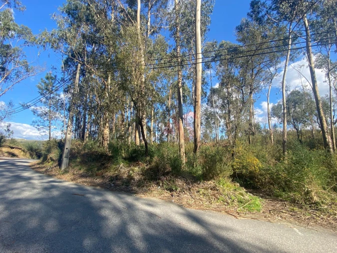 Terreno Agricola ou Rústico para Venda em Sousela Foto 4