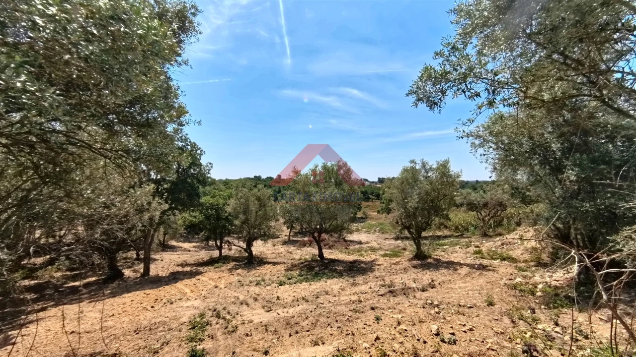 Terreno para Venda em Cartaxo e Vale da Pinta Foto 16