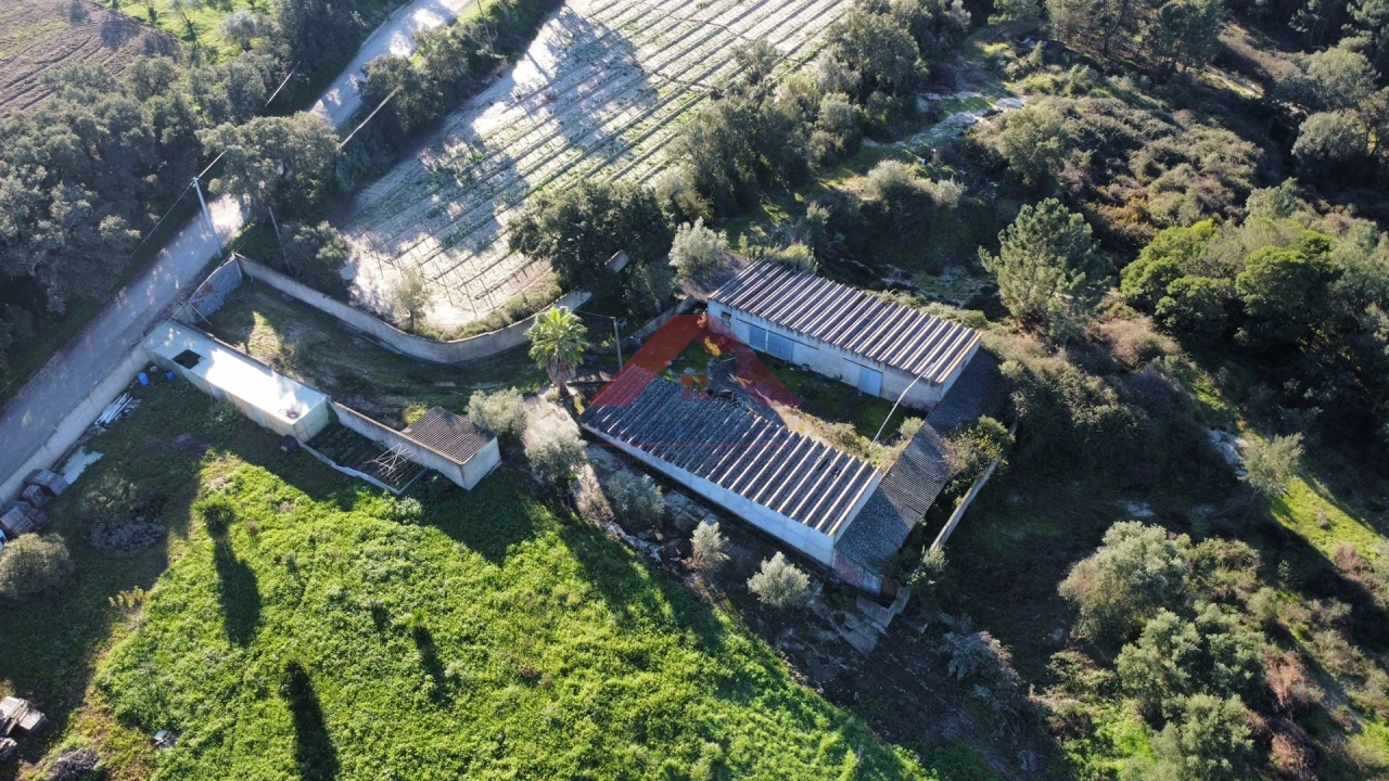Terreno para Venda em Cartaxo e Vale da Pinta Foto 18