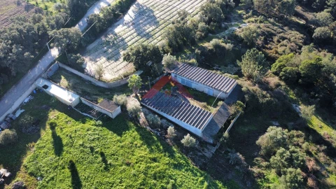 Terreno para Venda em Cartaxo e Vale da Pinta