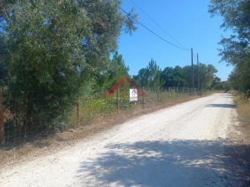Terreno para Venda em Cartaxo e Vale da Pinta