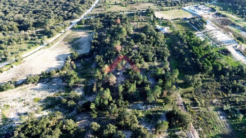 Terreno para Venda em Cartaxo e Vale da Pinta