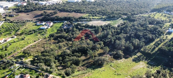 Terreno para Venda em Cartaxo e Vale da Pinta