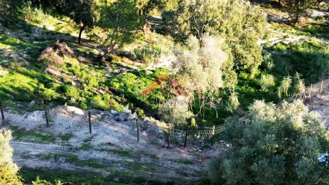 Terreno para Venda em Cartaxo e Vale da Pinta