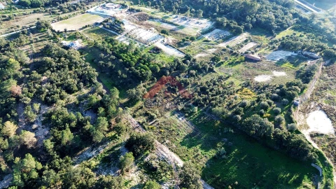 Terreno para Venda em Cartaxo e Vale da Pinta