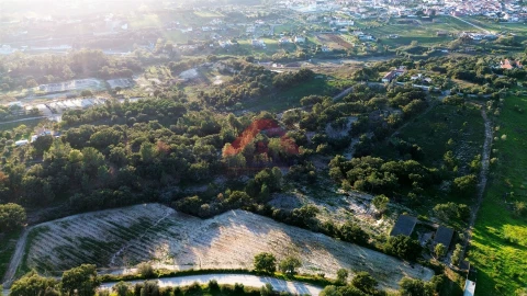 Terreno para Venda em Cartaxo e Vale da Pinta