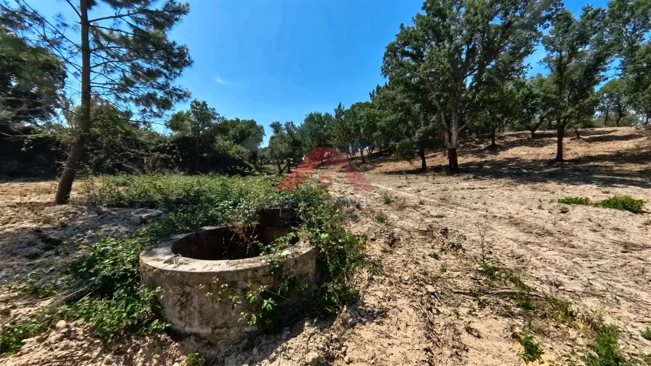 Terreno para Venda em Cartaxo e Vale da Pinta Foto 5
