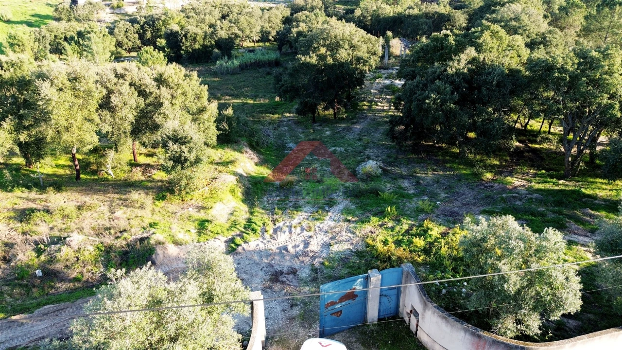 Terreno para Venda em Cartaxo e Vale da Pinta Foto 19
