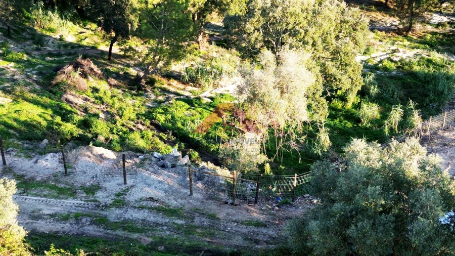 Terreno para Venda em Cartaxo e Vale da Pinta Foto 23