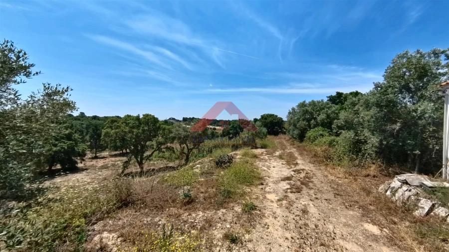 Terreno para Venda em Cartaxo e Vale da Pinta Foto 17