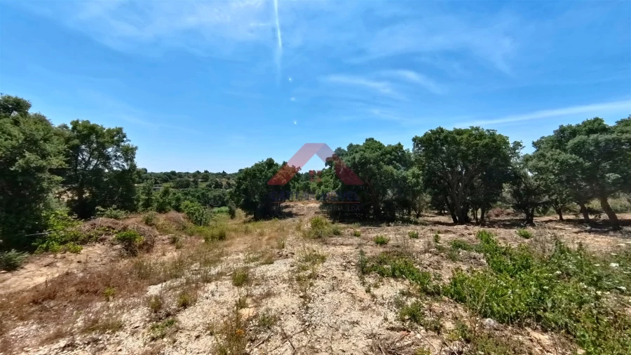 Terreno para Venda em Cartaxo e Vale da Pinta Foto 14