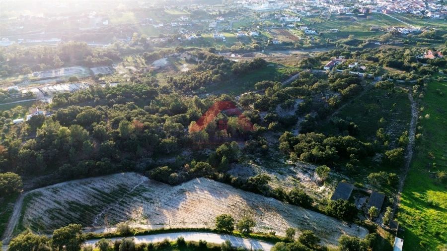 Terreno para Venda em Cartaxo e Vale da Pinta Foto 25
