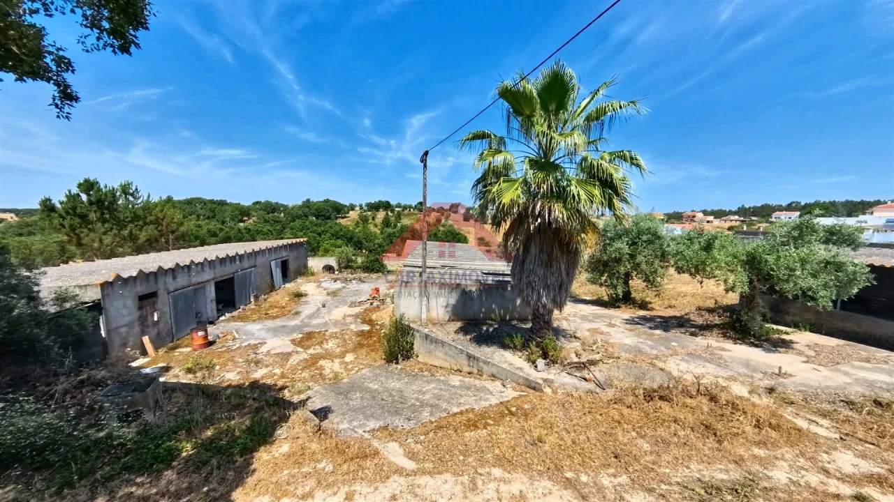 Terreno para Venda em Cartaxo e Vale da Pinta Foto 3