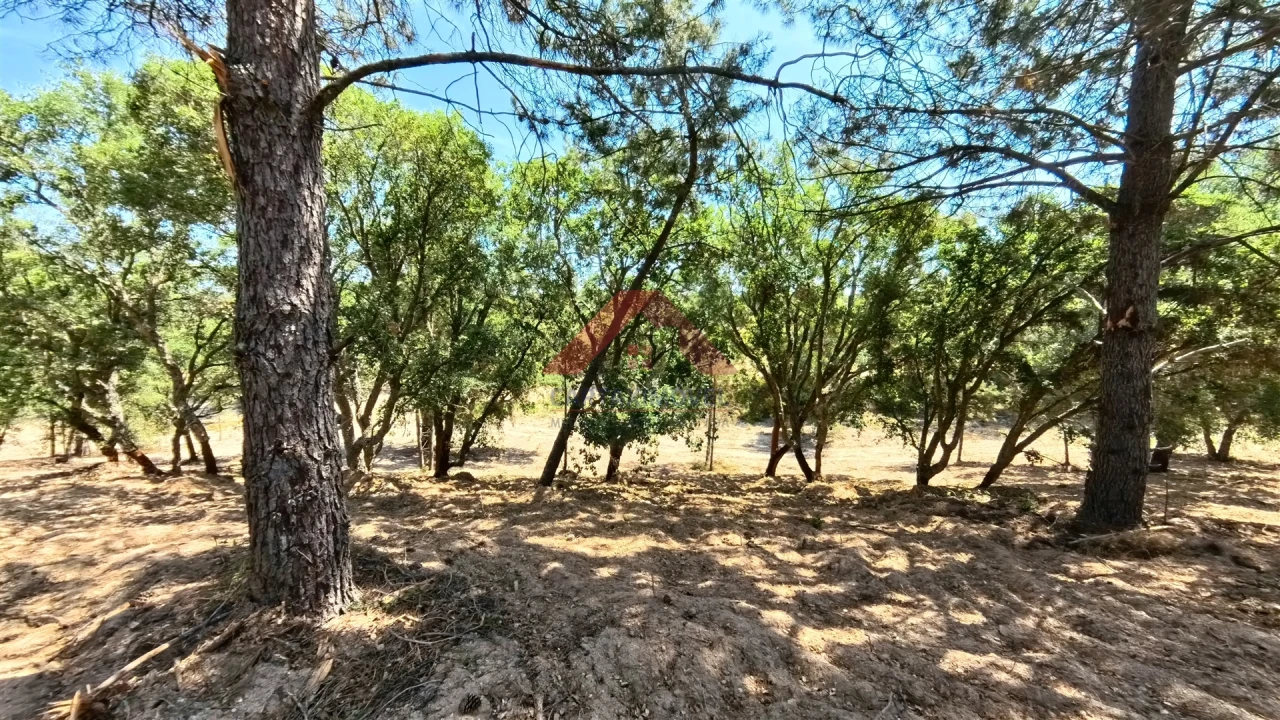 Terreno para Venda em Cartaxo e Vale da Pinta Foto 12