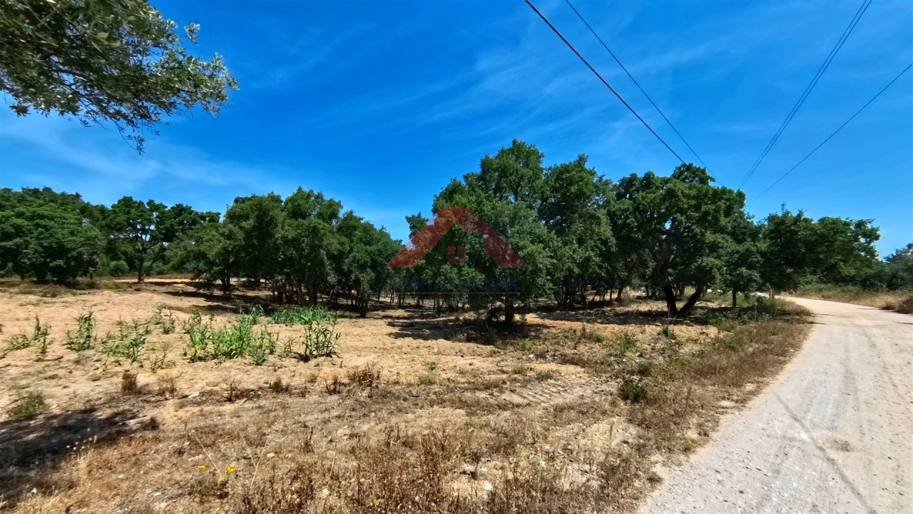 Terreno para Venda em Cartaxo e Vale da Pinta Foto 4