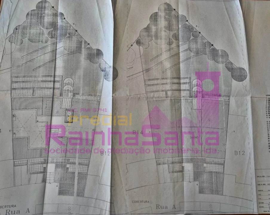 Terreno P/ Prédio para Venda em Santo Antonio dos Olivais Foto 6