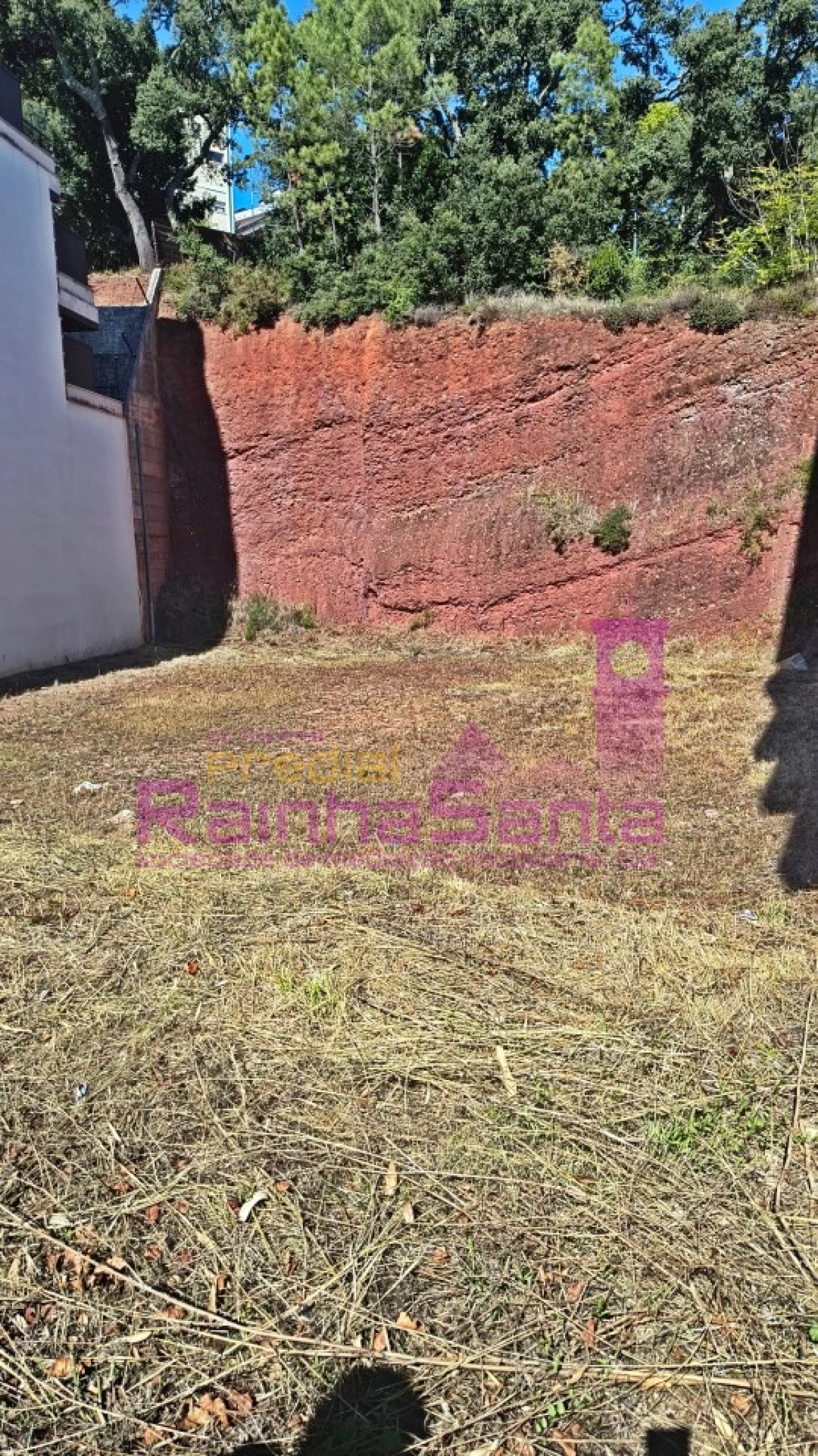 Terreno P/ Prédio para Venda em Santo Antonio dos Olivais Foto 3