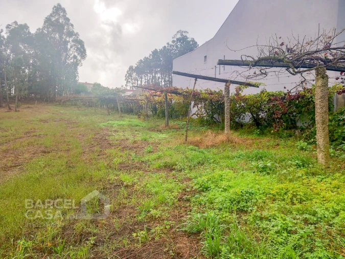 Terreno para Venda em Cristelo Foto 2