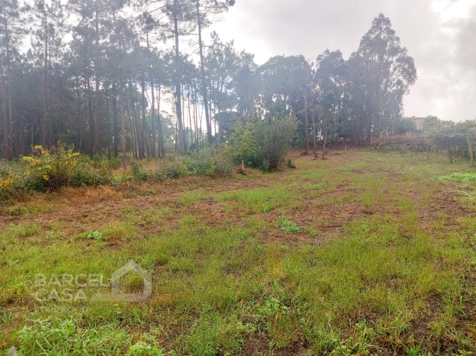 Terreno para Venda em Cristelo Foto 3