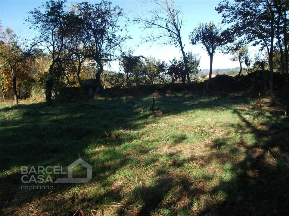 Terreno para Venda em Alheira e Igreja Nova Foto 3