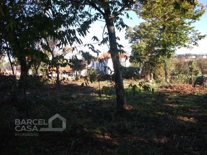 Terreno para Venda em Alheira e Igreja Nova Foto 2