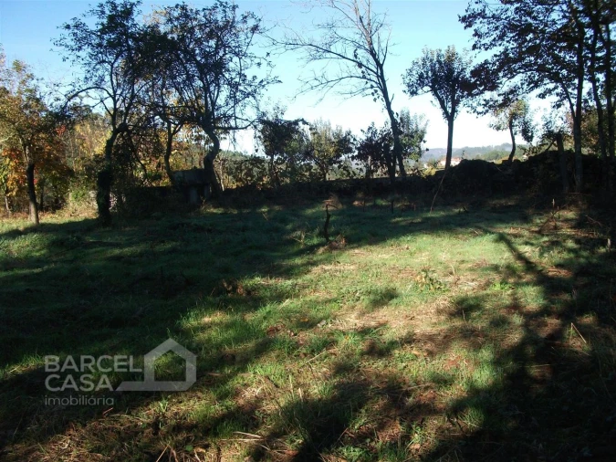 Terreno para Venda em Alheira e Igreja Nova Foto 3
