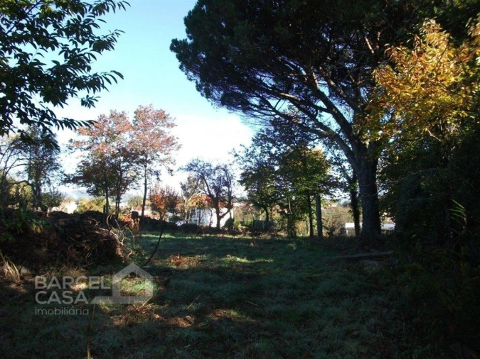 Terreno para Venda em Alheira e Igreja Nova Foto 9