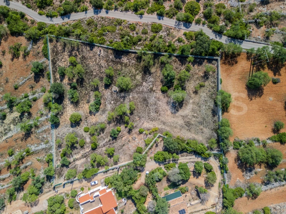 Terreno Agricola ou Rústico para Venda em Loule (São Sebastião) Foto 3