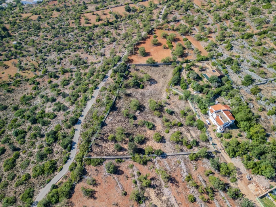 Terreno Agricola ou Rústico para Venda em Loule (São Sebastião) Foto 13