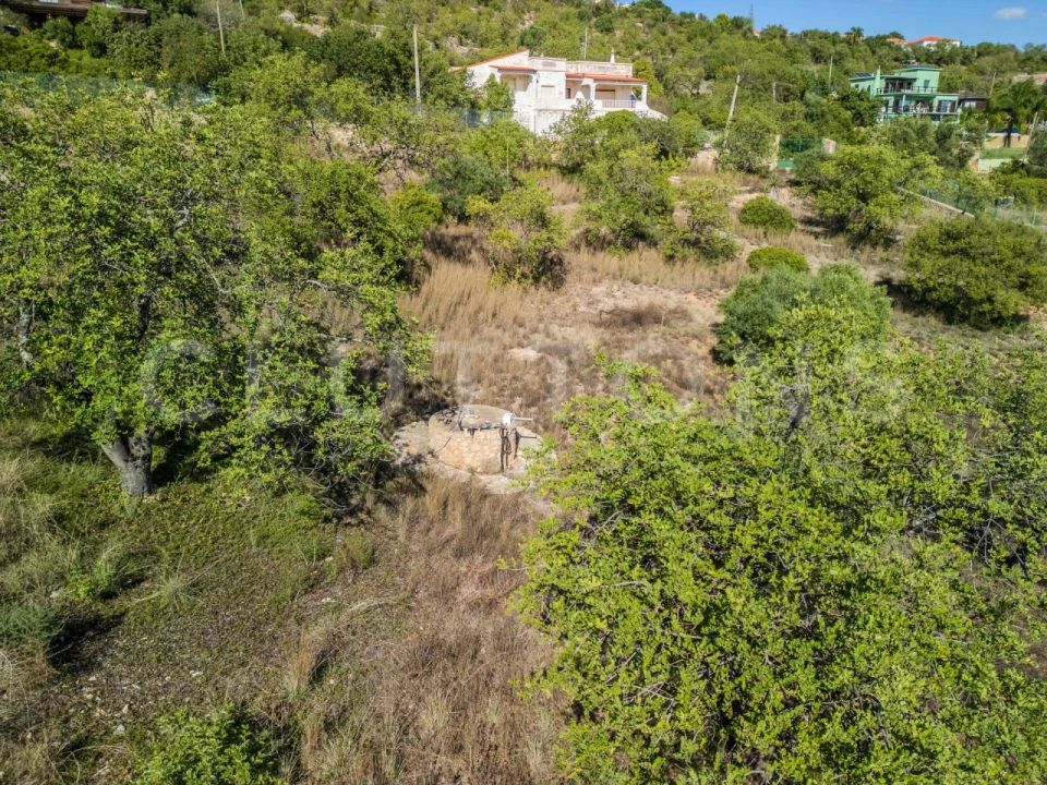 Terreno Agricola ou Rústico para Venda em Loule (São Sebastião) Foto 15